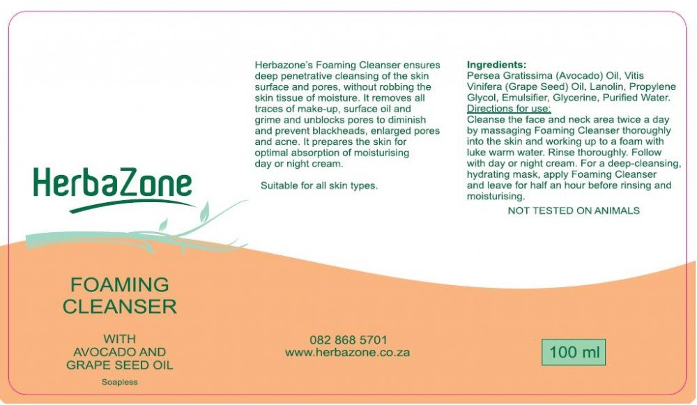 foaming_cleanser-max-1000x748